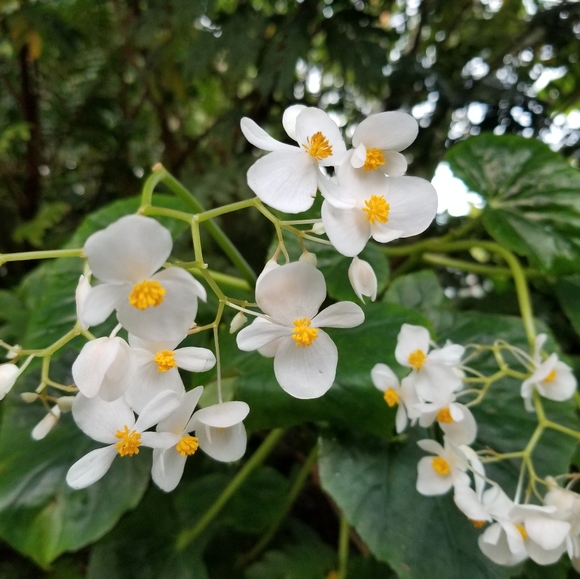 Meet your Posher, Polly. - Picture 3 of 5